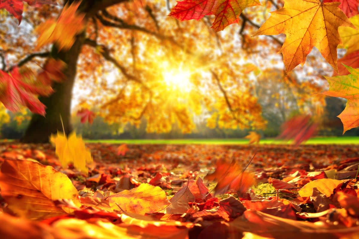 Autumn Equinox: What is it and why does it happen?