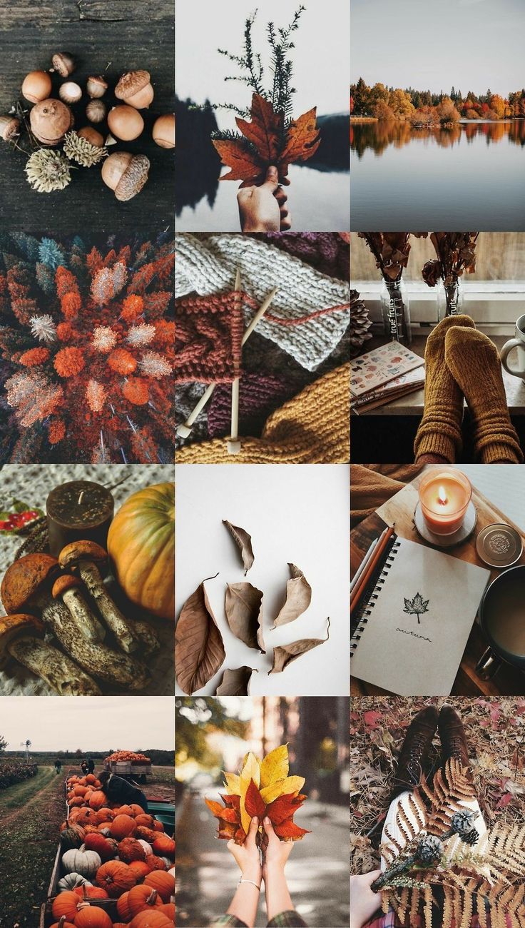 Mabon Autumn Equinox Aesthetic