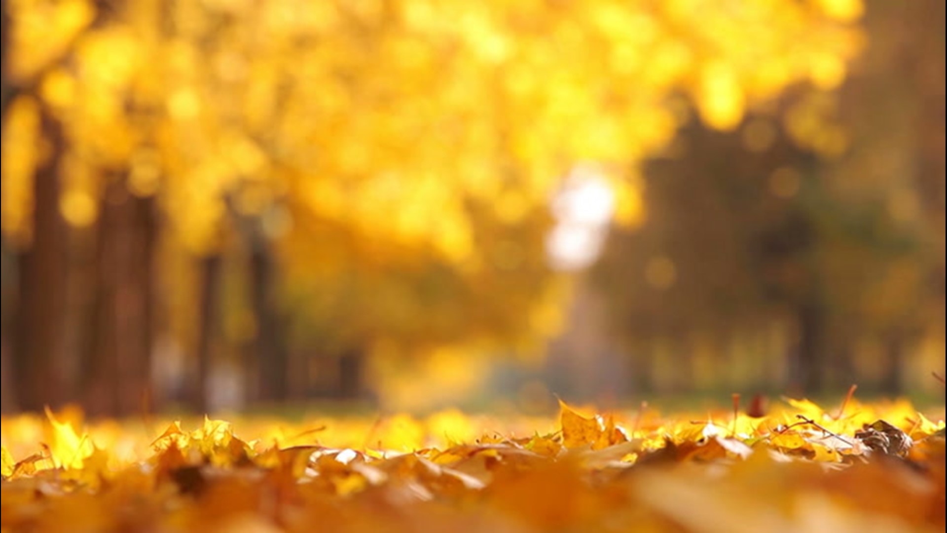 We bet you don't know all of these 10 things about the first day of fall