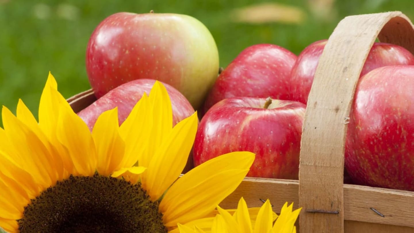 Autumnal Equinox Traditions From Around the World