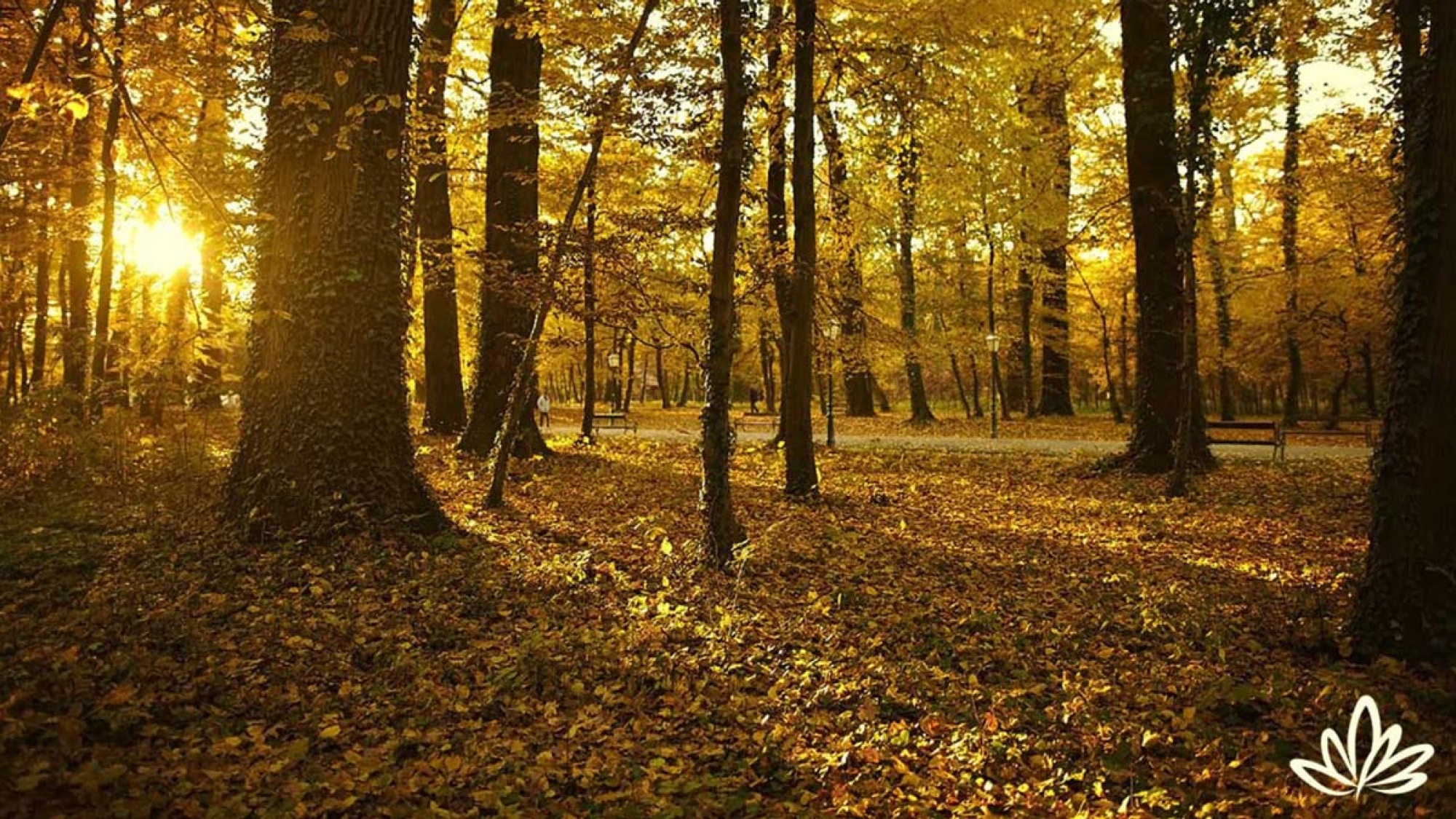 How to Celebrate the Autumn Equinox (as Those Who Came Before Us Did)
