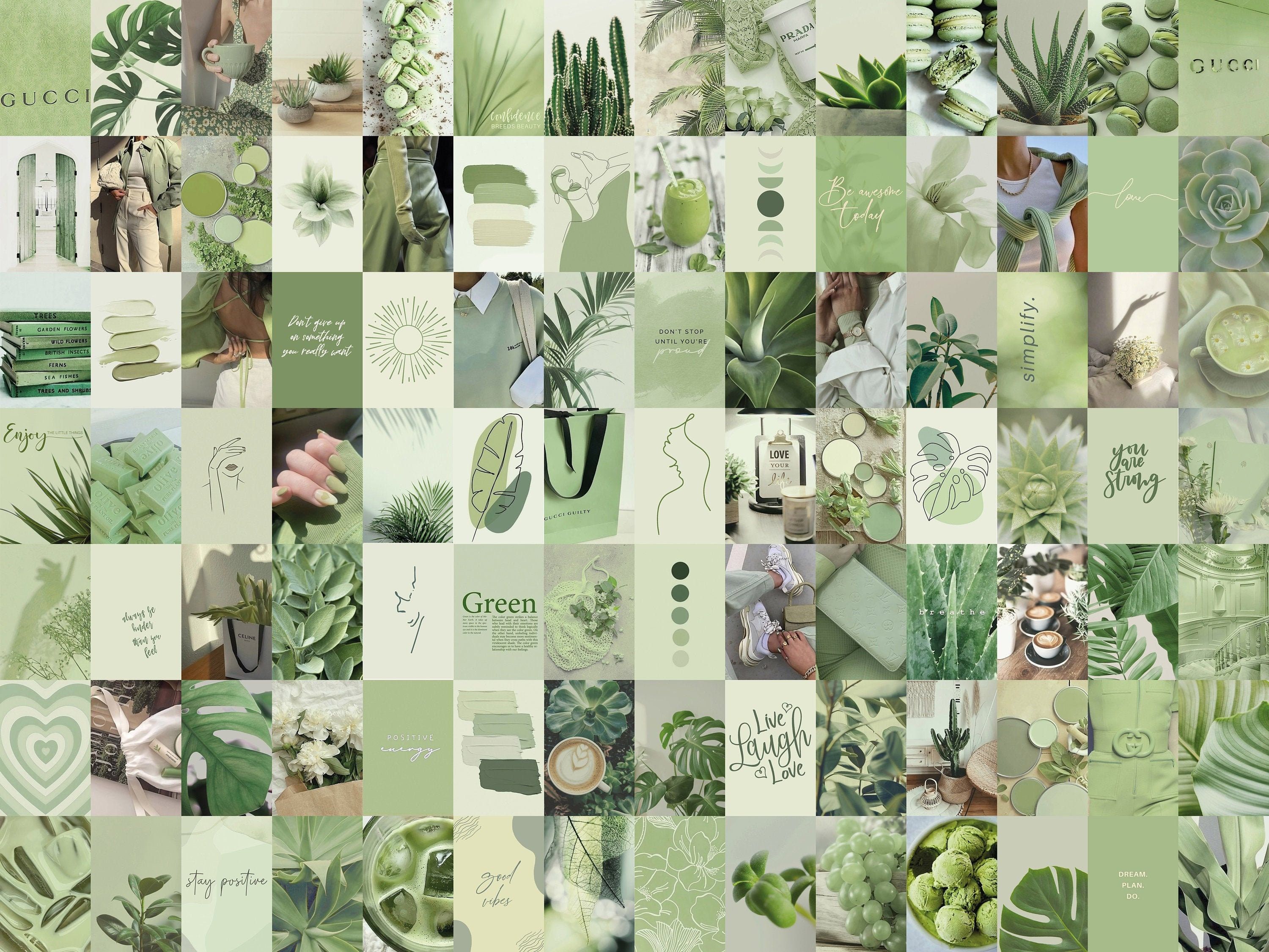 100pcs Sage Green Wall Collage Kit 2 Boho Aesthetic Soft UK. Sage green walls, Green picture, Sage green wallpaper
