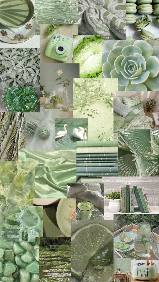 sage green collage. Green wallpaper, Sage green wallpaper, Green aesthetic tumblr