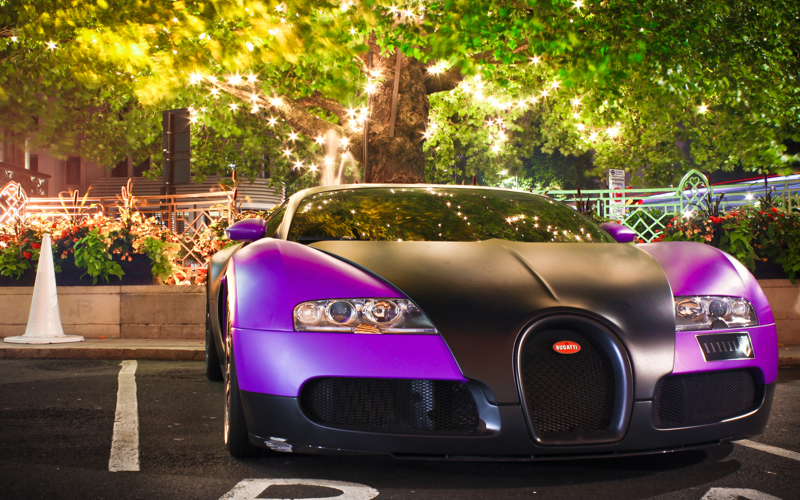 Purple Bugatti Veyron Wallpaper Car Wallpaper