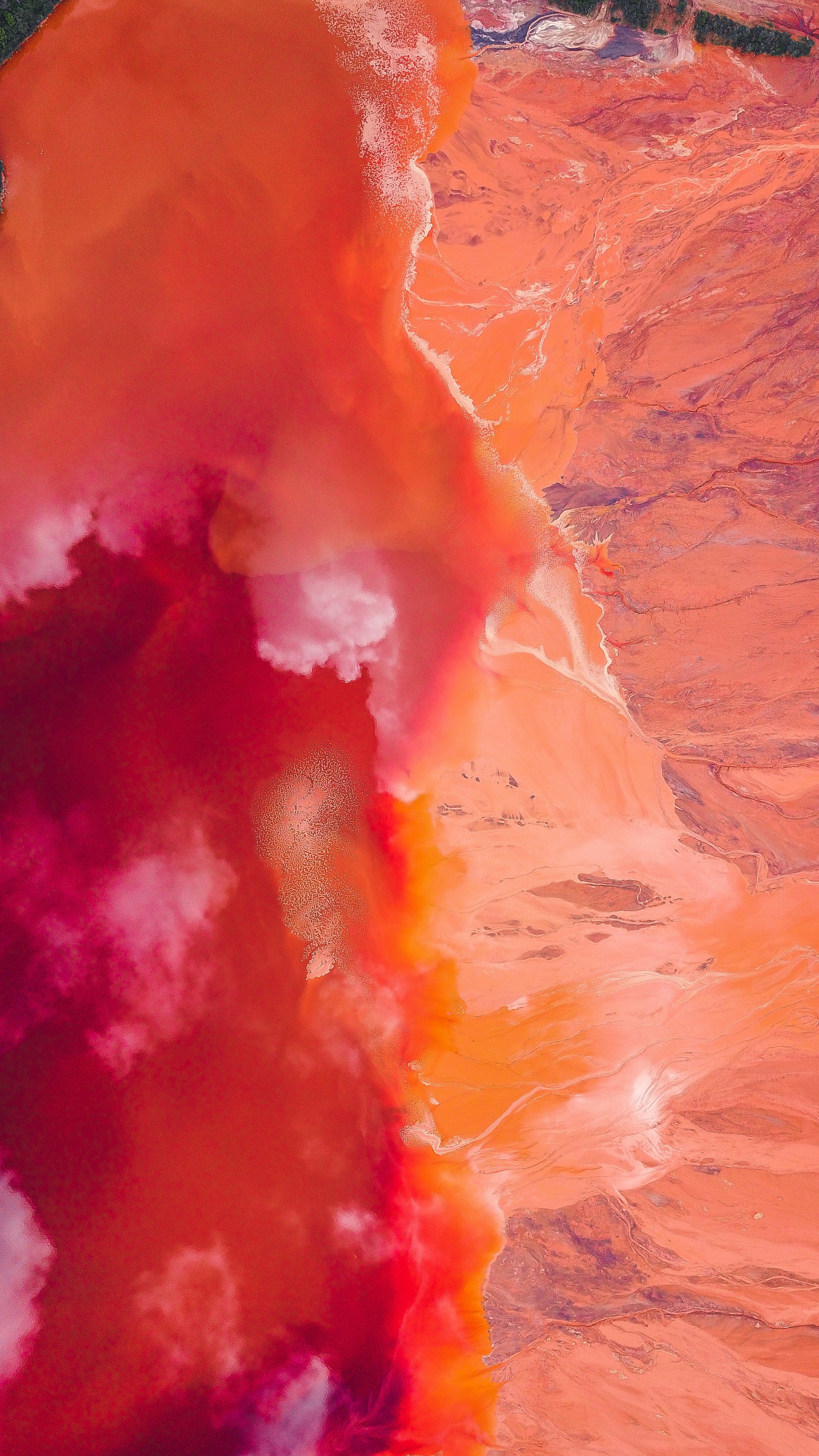 Vibrant Photo, Download Free Vibrant & HD Image