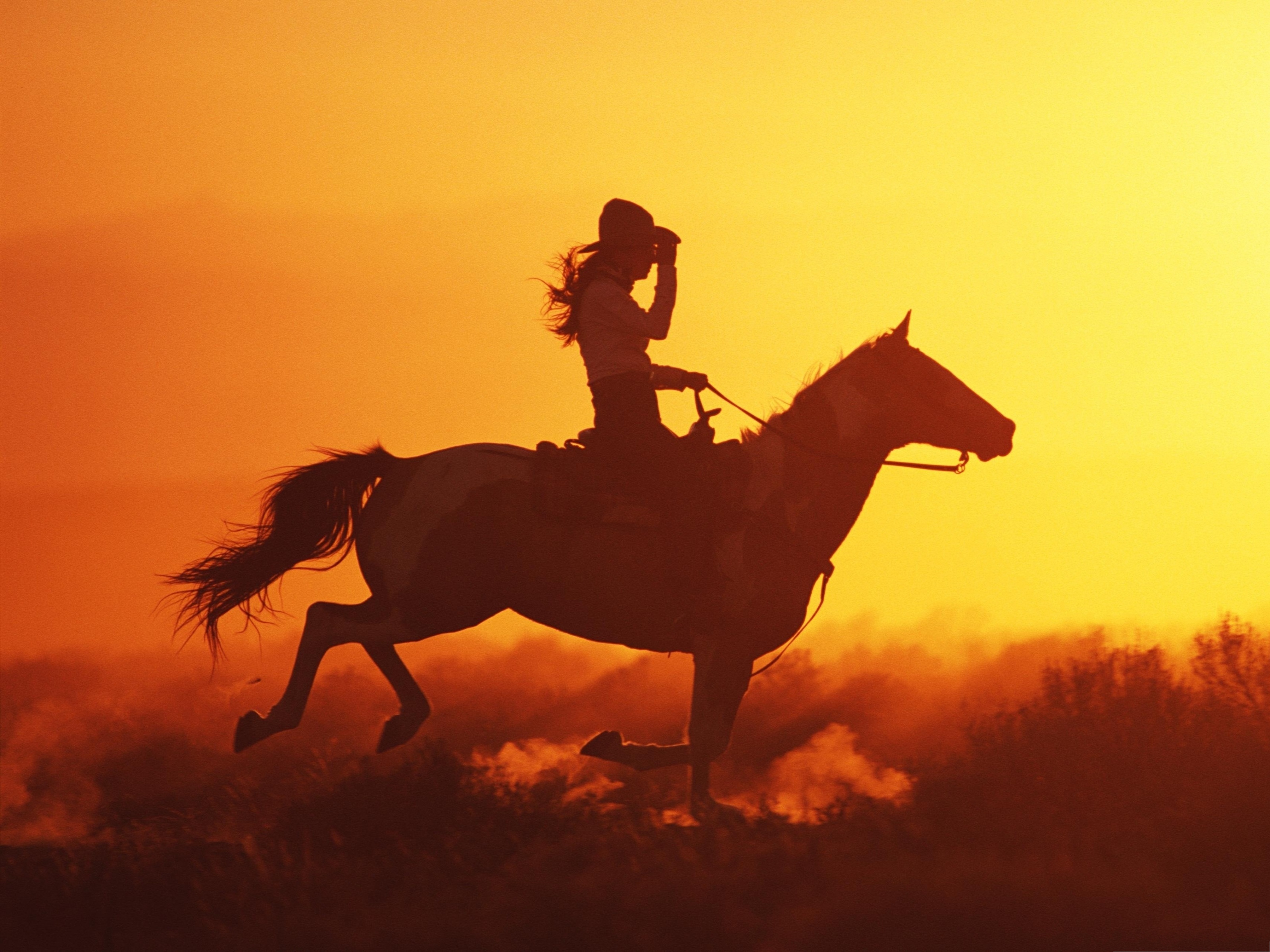 Cowgirl HD Wallpaper