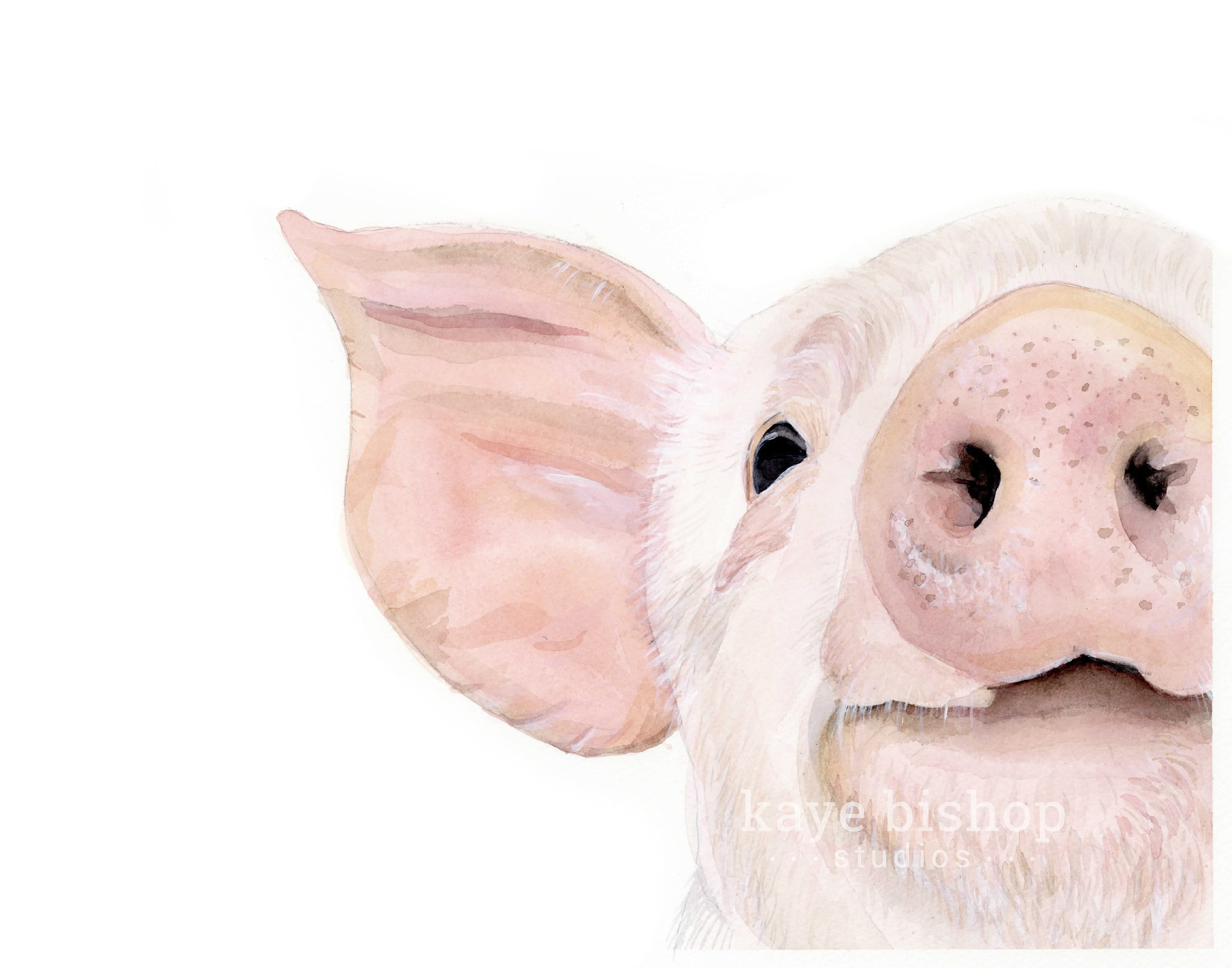 Pig Watercolor Painting Pig Face Animal Pig Art Nursery