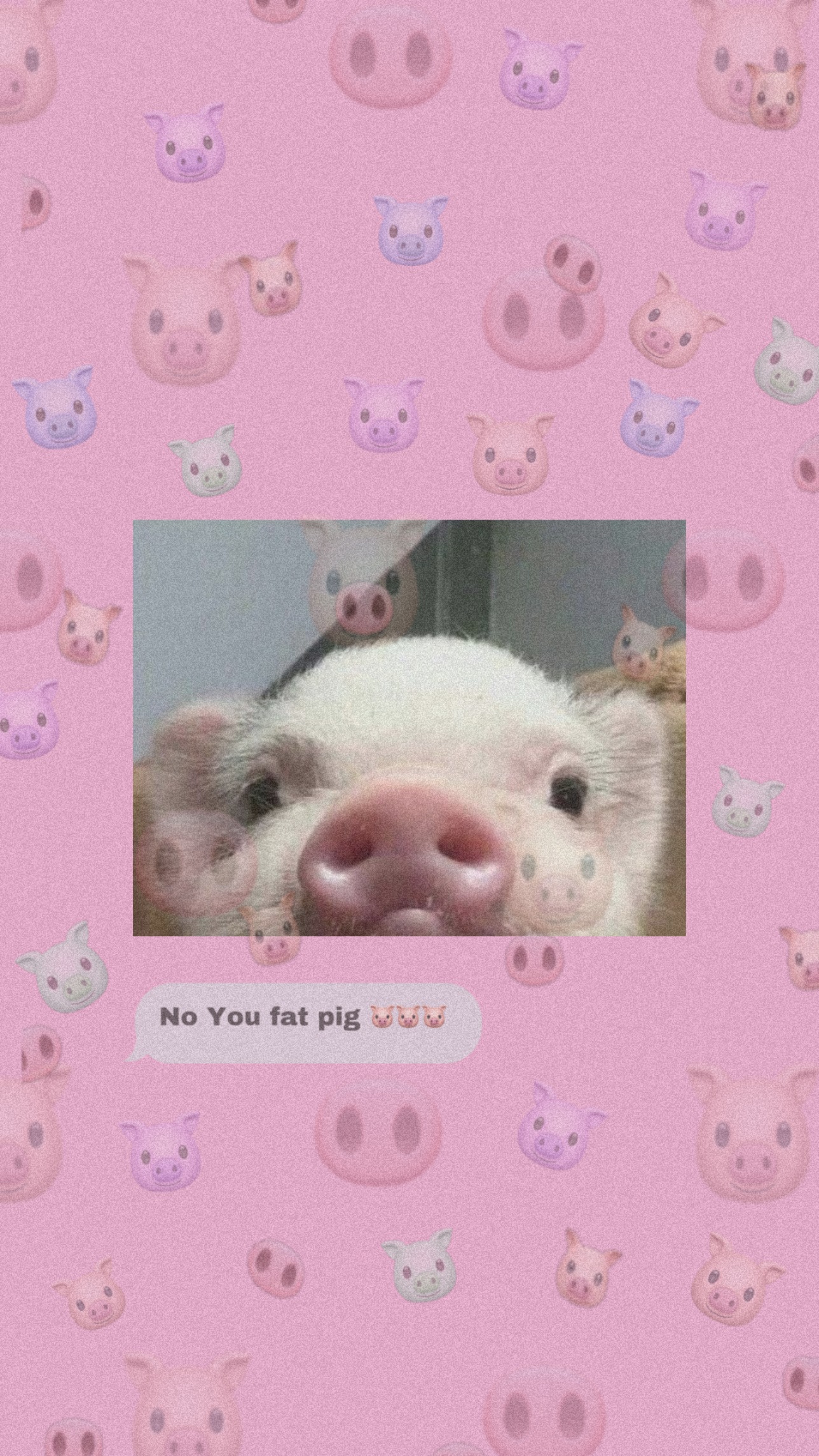 freetoedit wallpaperaesthetic wallpaper pig image
