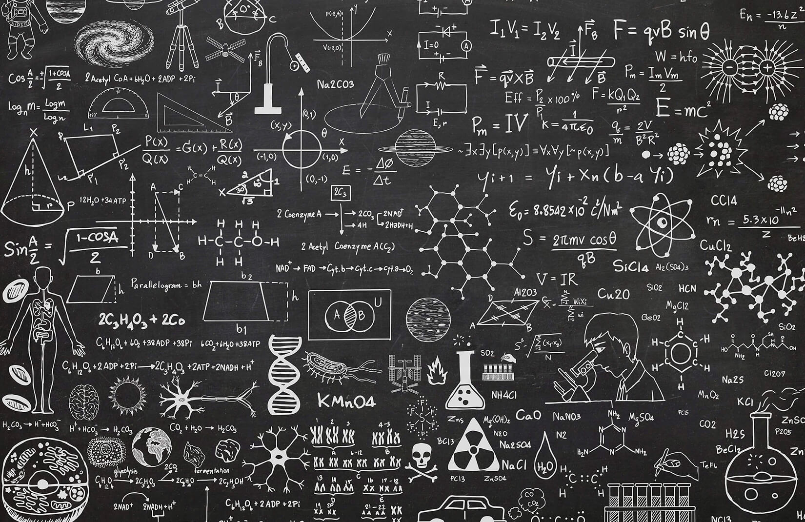 Science Chalkboard Wallpaper Mural