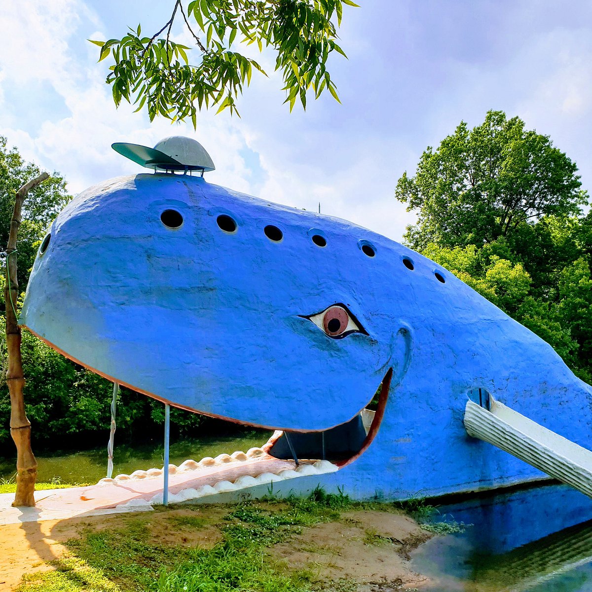 Blue Whale of Catoosa You Need to Know BEFORE You Go