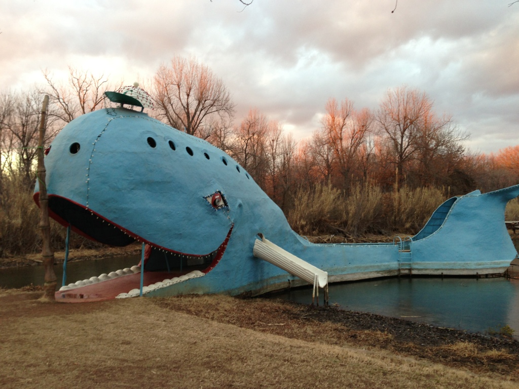 Blue Whale. Rainbows in Waterfalls