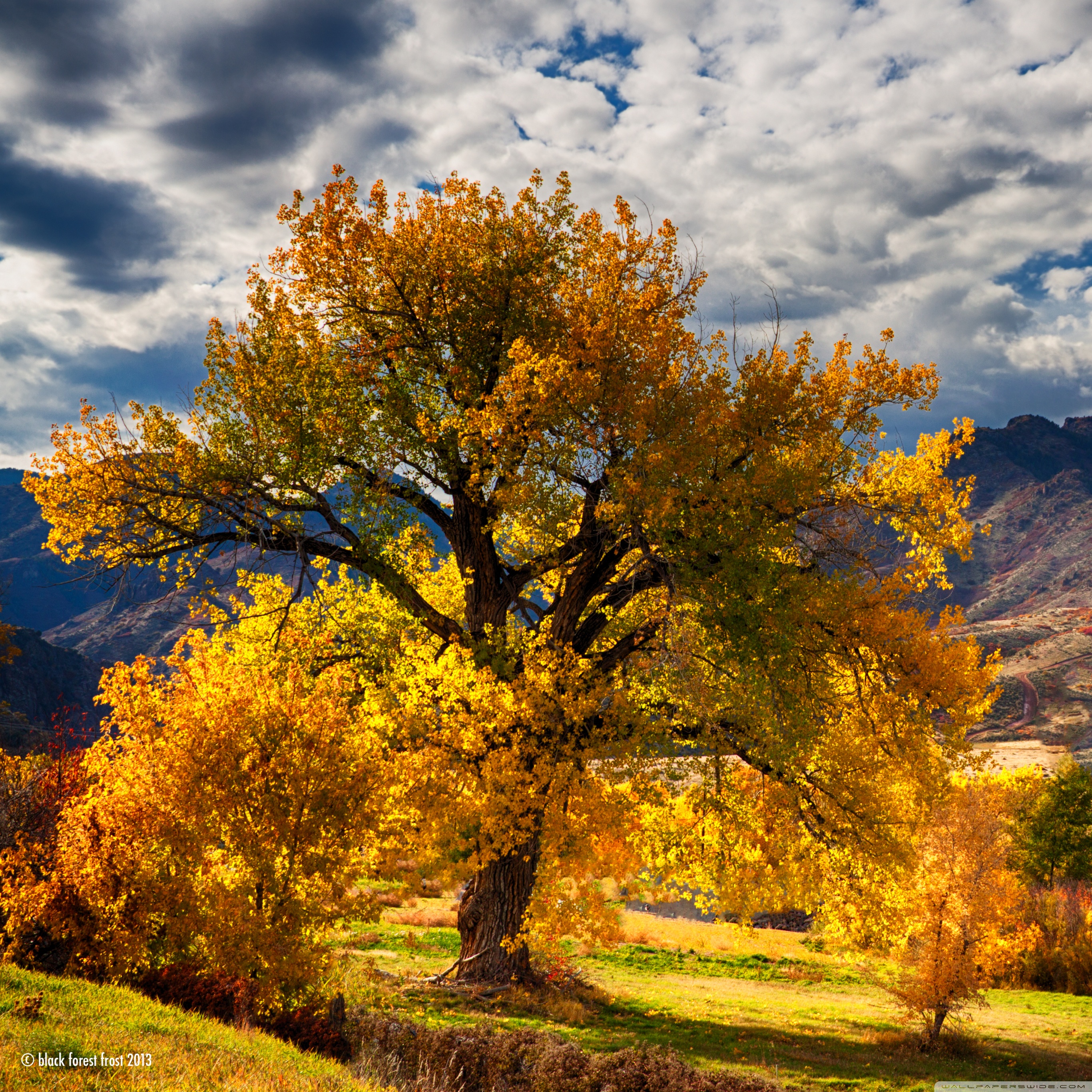 Beautiful Autumn Scenery Colorado Ultra HD Desktop Background Wallpaper for 4K UHD TV, Widescreen & UltraWide Desktop & Laptop, Tablet