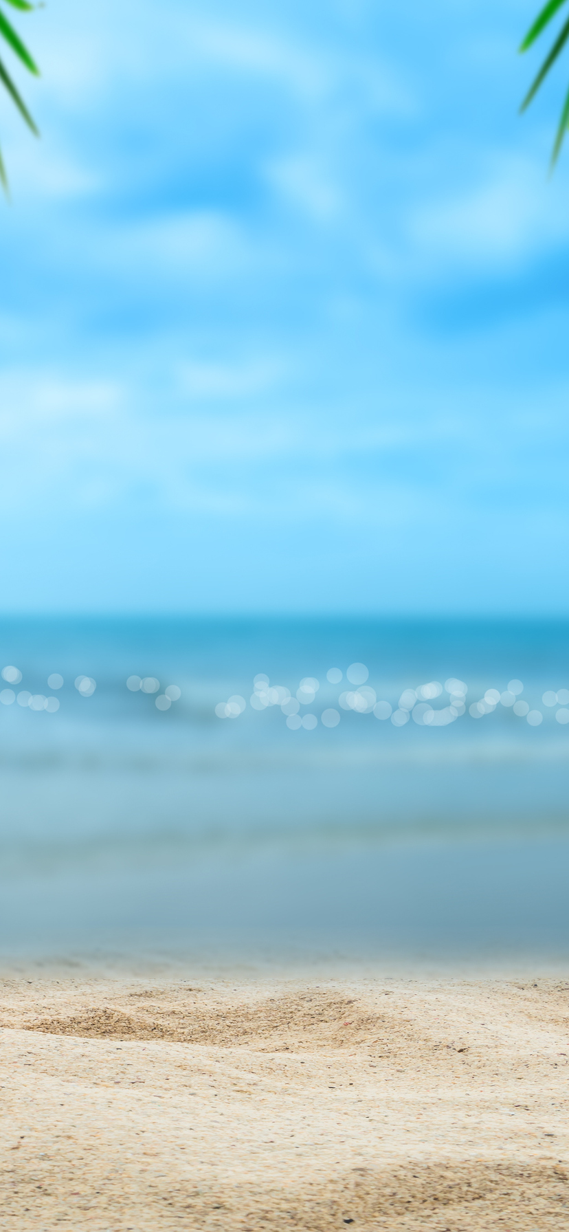 Download Beach in summer, Beach, In summer, Sand, Sea, Summer, Sky, Sun, Palm trees, Coast, Coast, Beautiful, Paradise, Tropical, Warm, 2k, 3k, 4k, 5k, 6k Wallpaper in 828x1792 Resolution