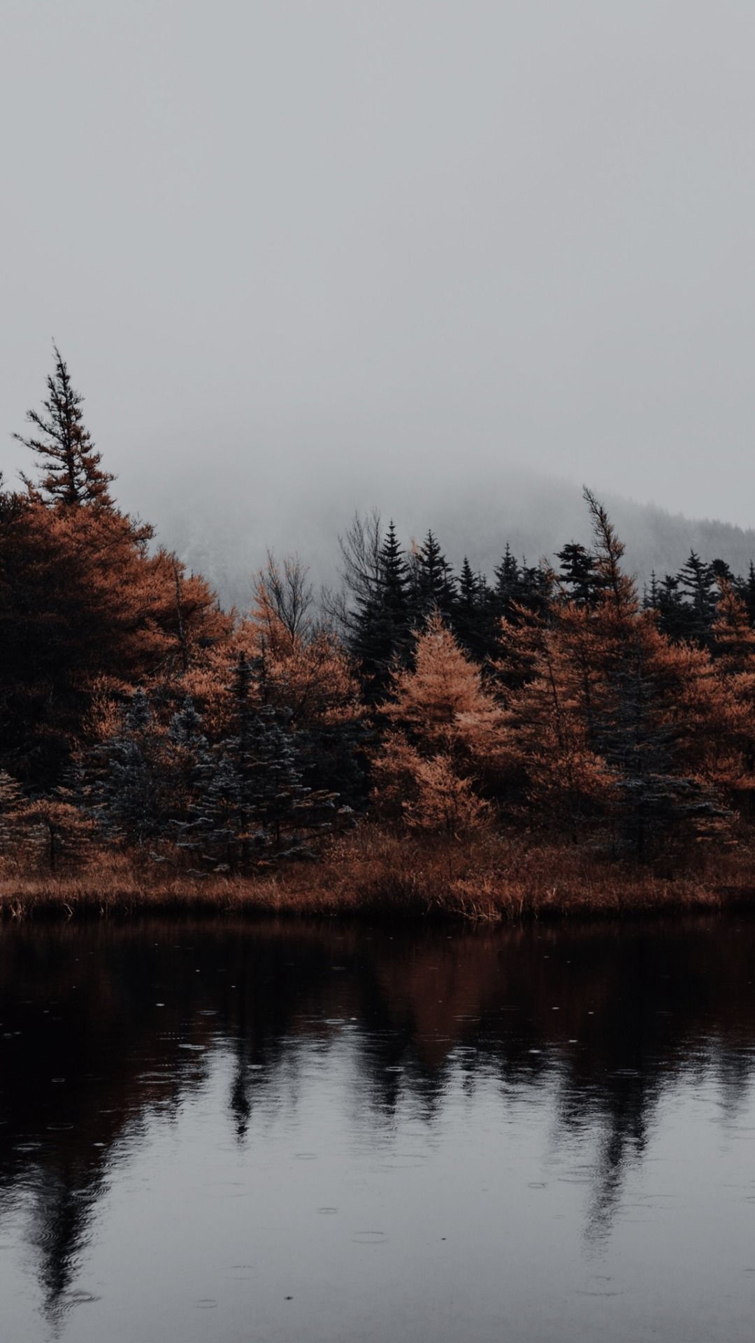 Autumn. iPhone wallpaper landscape, Mountain aesthetic wallpaper, Fall landscape photography