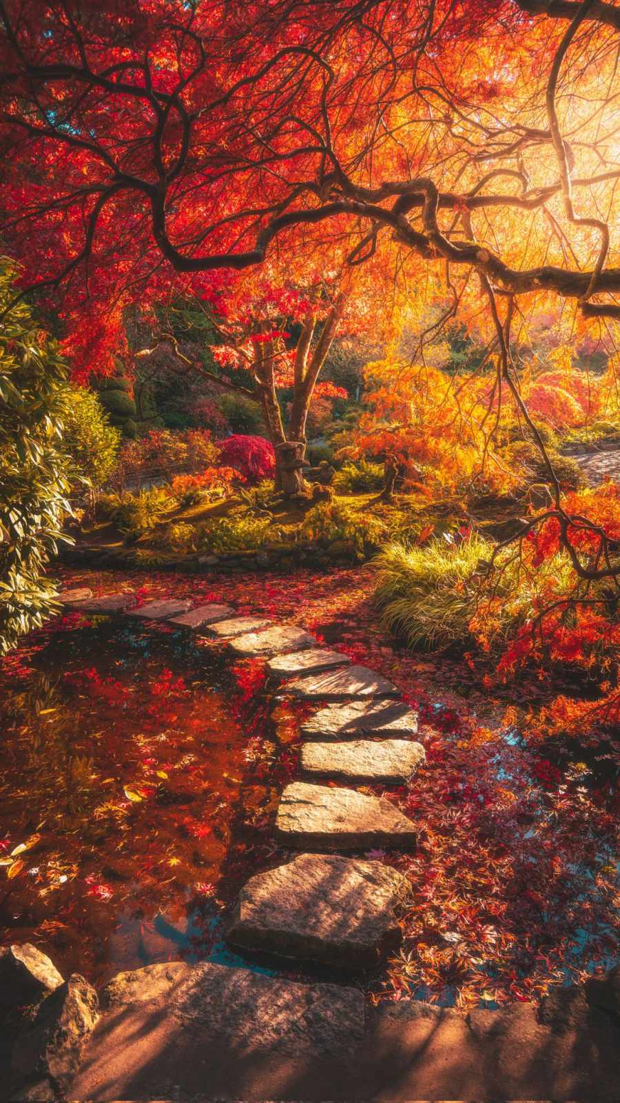Autumn Colors IPhone Wallpaper Wallpaper, iPhone Wallpaper