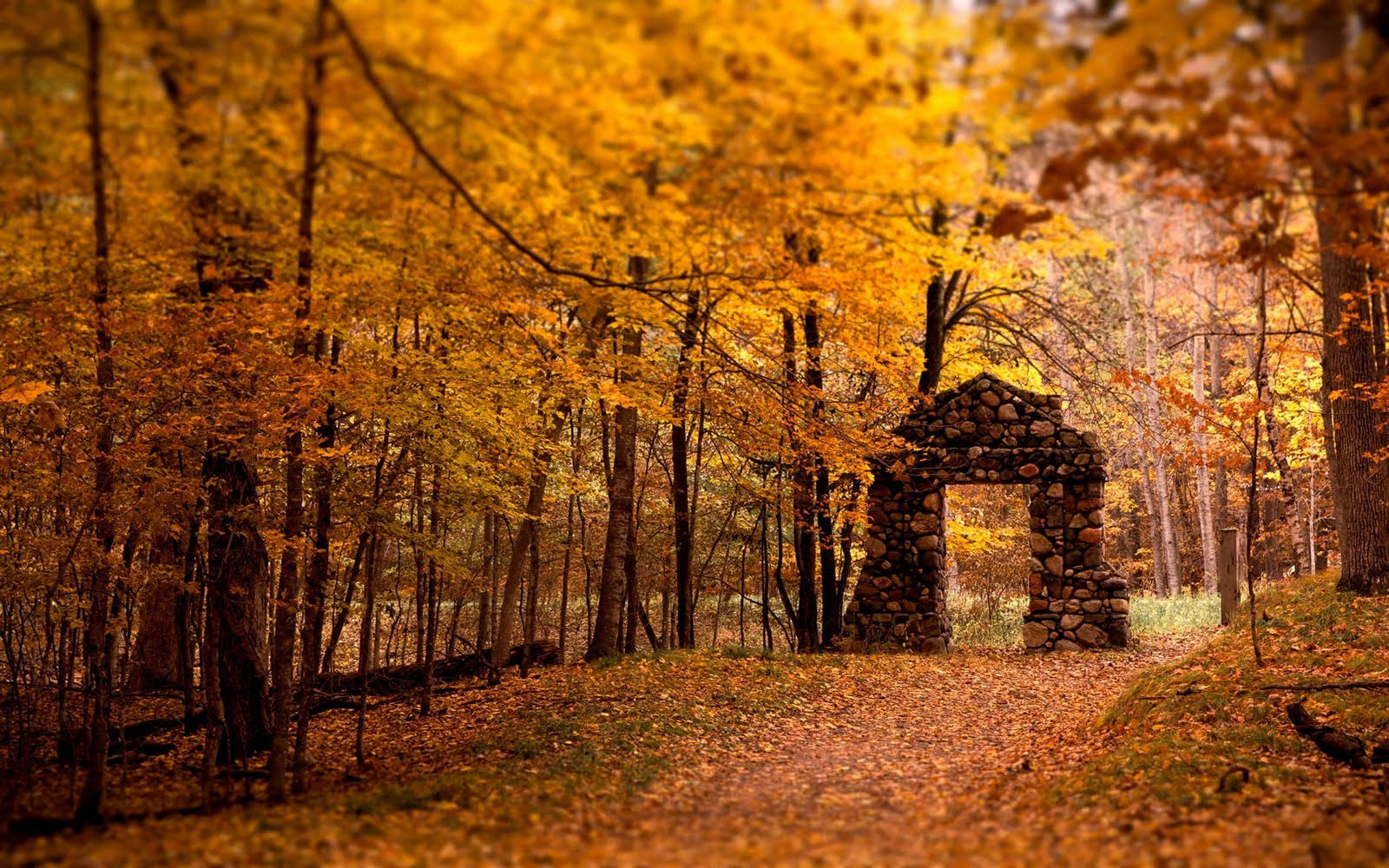 Massachusetts Autumn Wallpapers - Wallpaper Cave