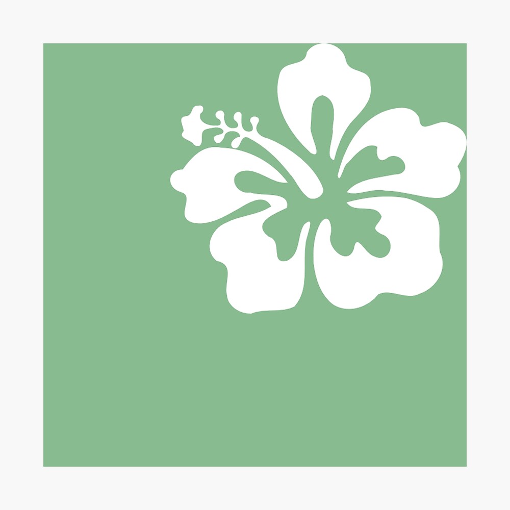 Coconut Girl Aesthetic Wallpapers Wallpaper Cave