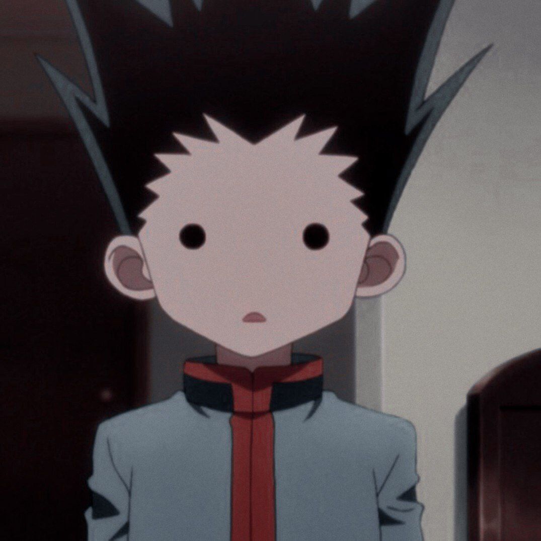 Gon pfp  Hunter anime, Anime, Aesthetic anime