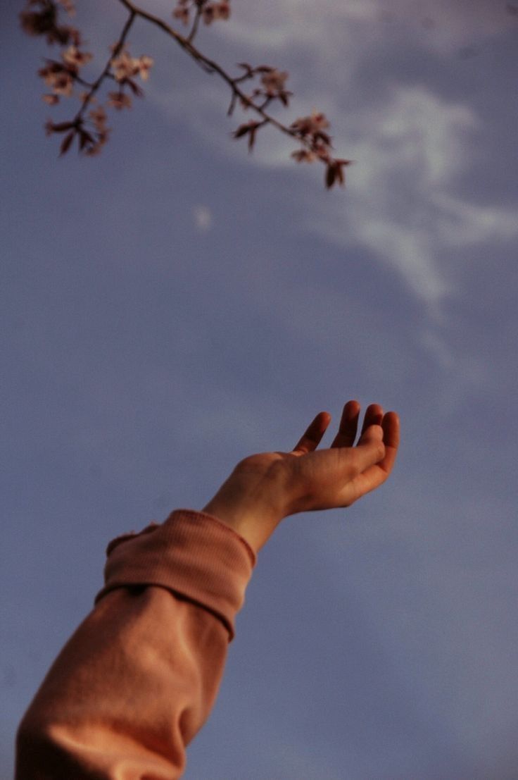 the aesthetic aesthetic. Aesthetic types, Nature aesthetic, Tumblr photography