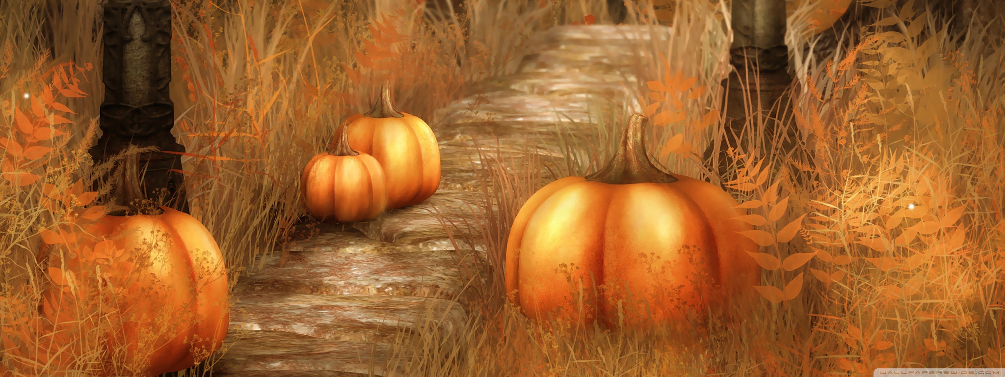 Pumpkins Halloween Ultra HD Desktop Background Wallpaper for: Multi Display, Dual Monitor, Tablet