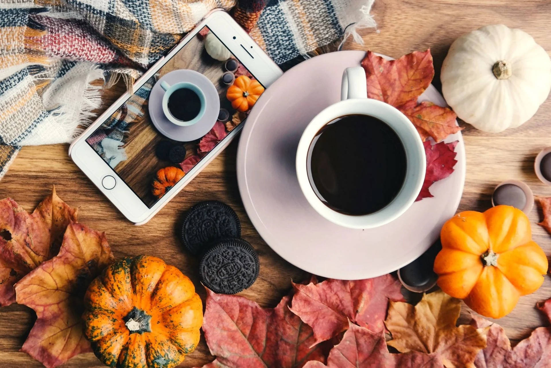 Download Cozy Aesthetic Fall Wallpaper