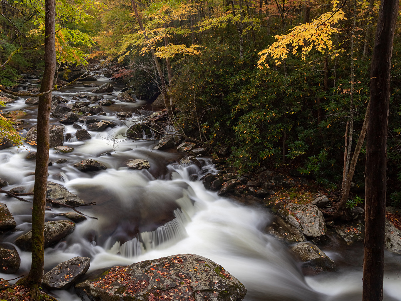 Wallpaper USA Great Smoky Mountain National Park Autumn Nature Parks