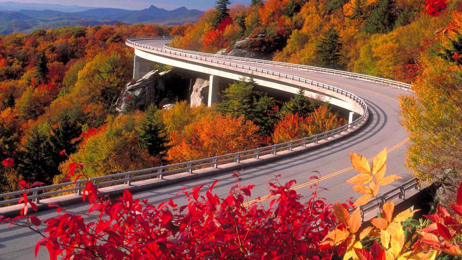 Best Free Autumn Wallpaper