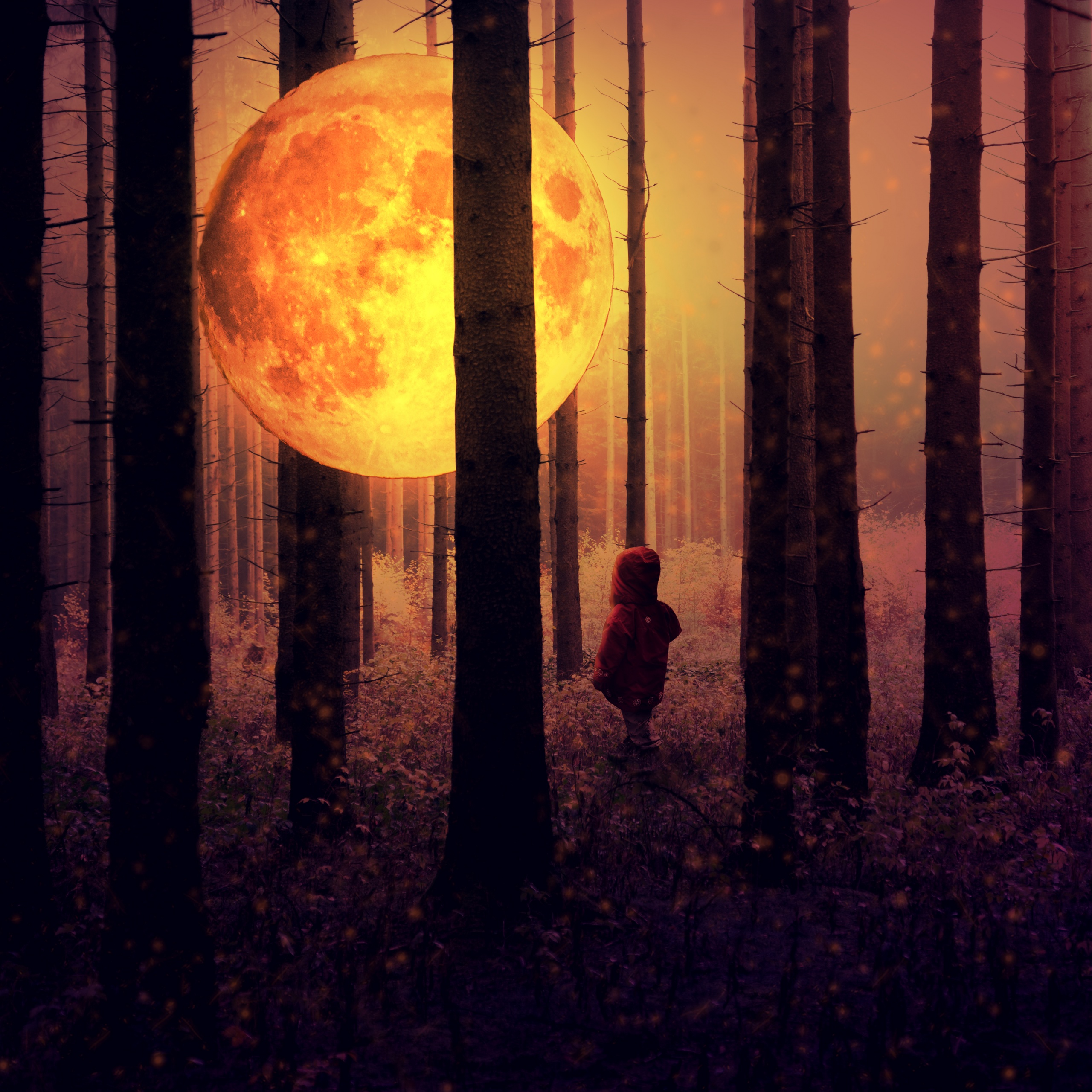 Full moon Wallpaper 4K, Kid, Forest, Woodland, Surreal, Mystic, Fantasy