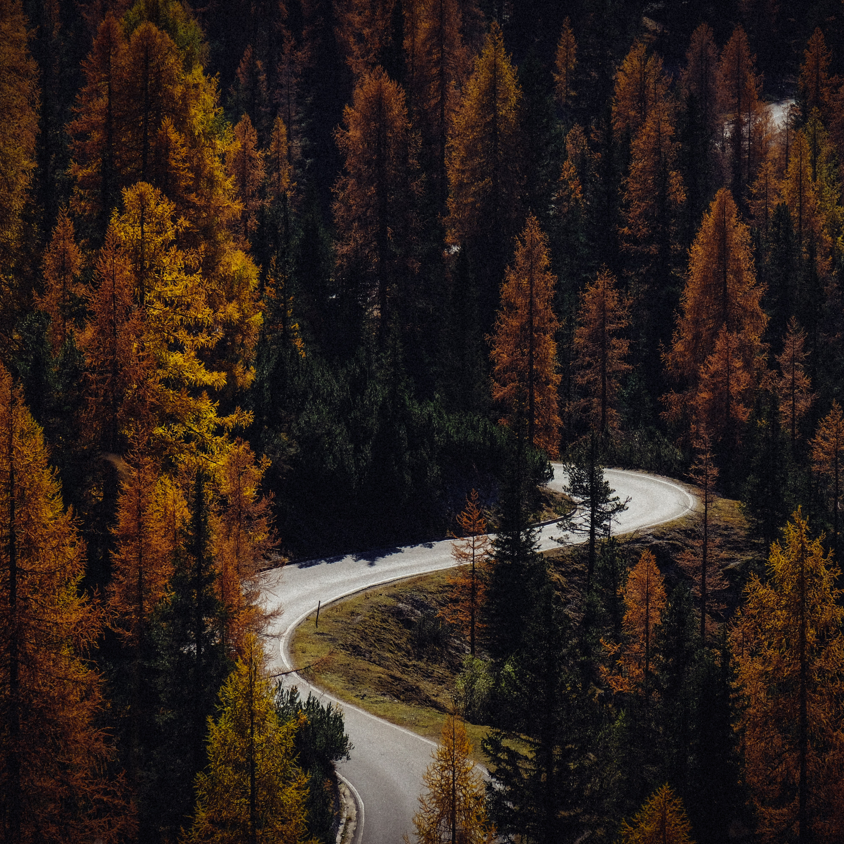 Download Autumn, road, turns, forest, nature wallpaper, 2932x iPad Pro Retina