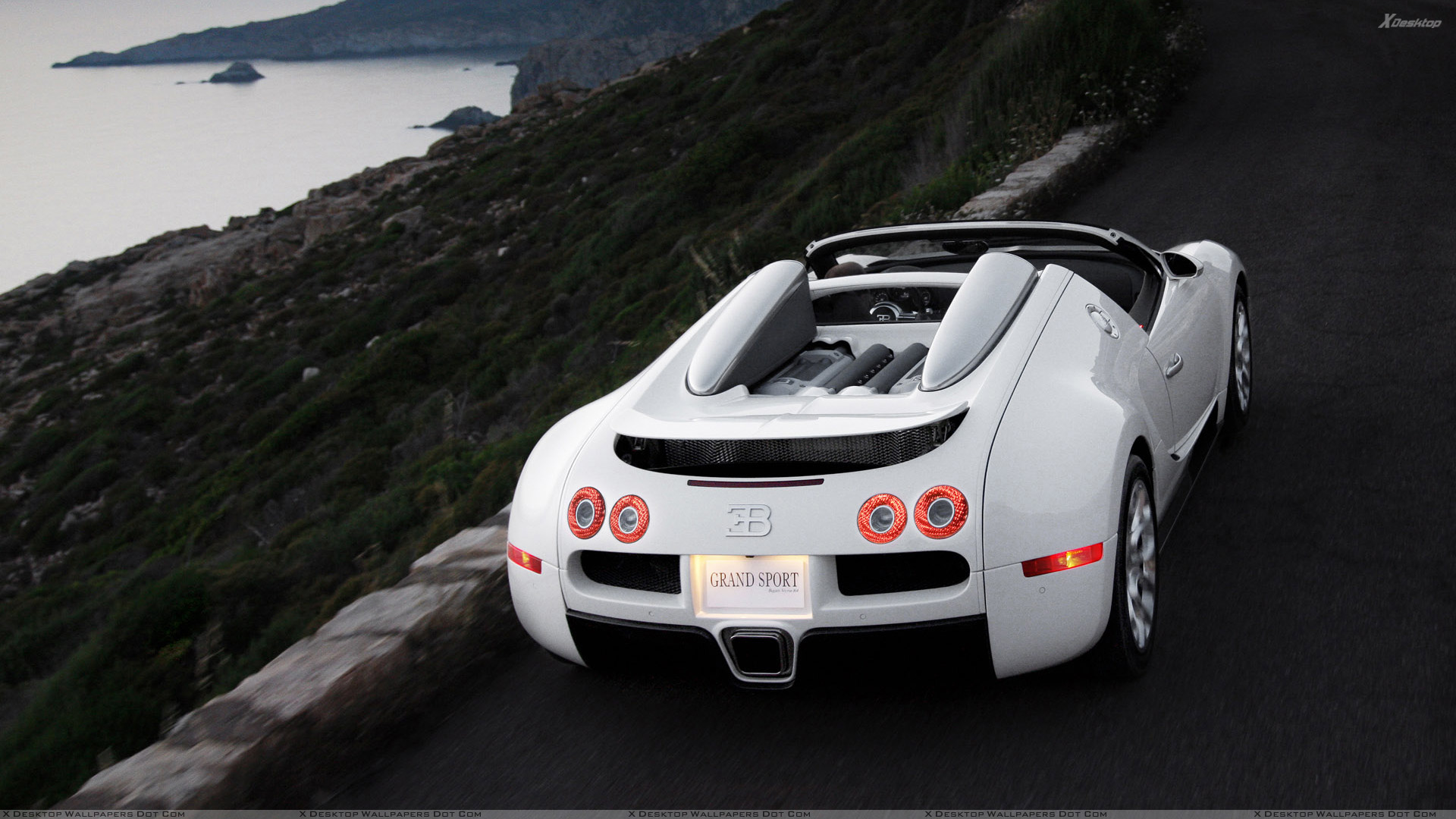 Back Pose Of Bugatti Veyron 16.4 Grand Sport In White Wallpaper