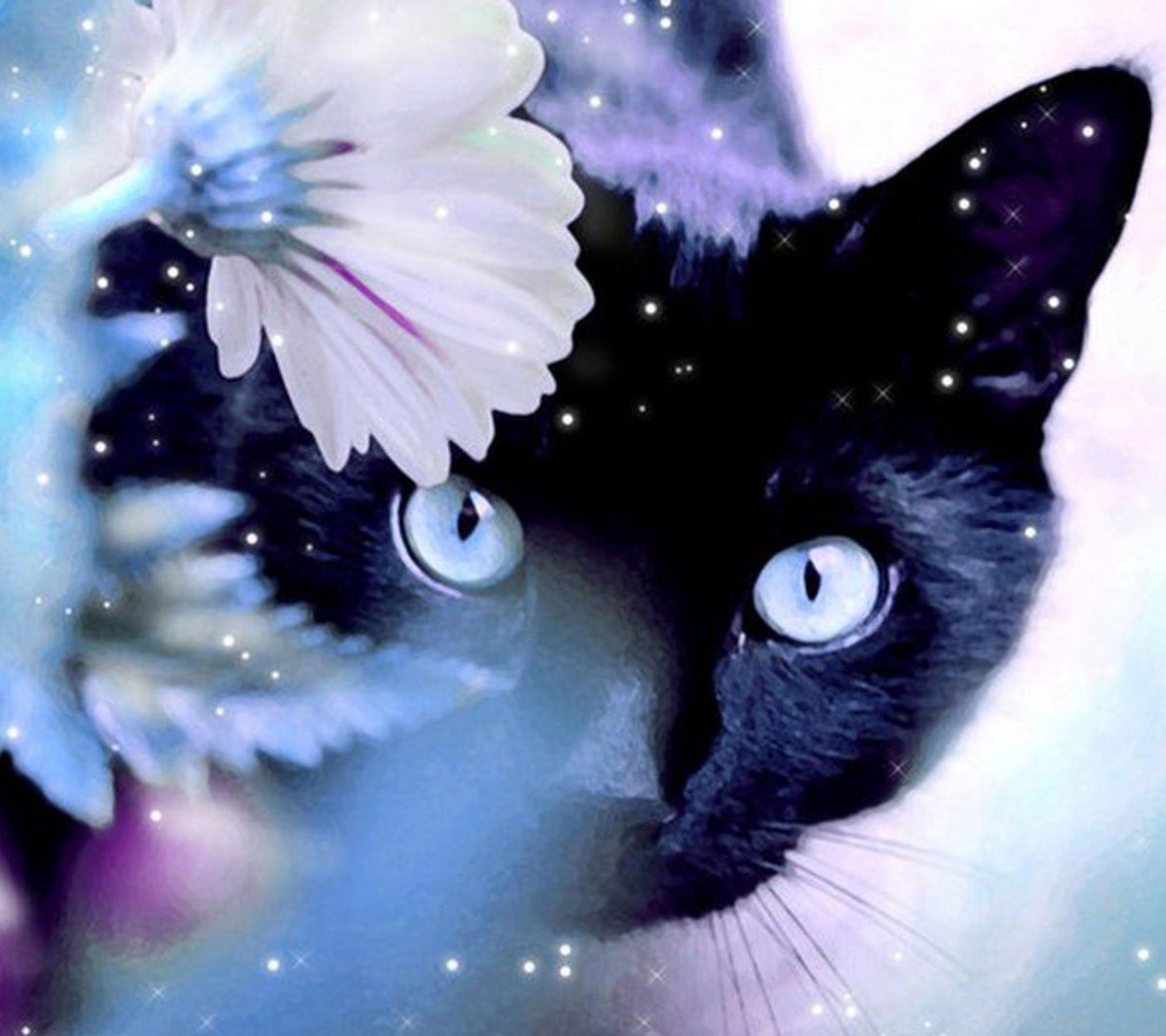 Cats With Flowers Wallpapers Wallpaper Cave