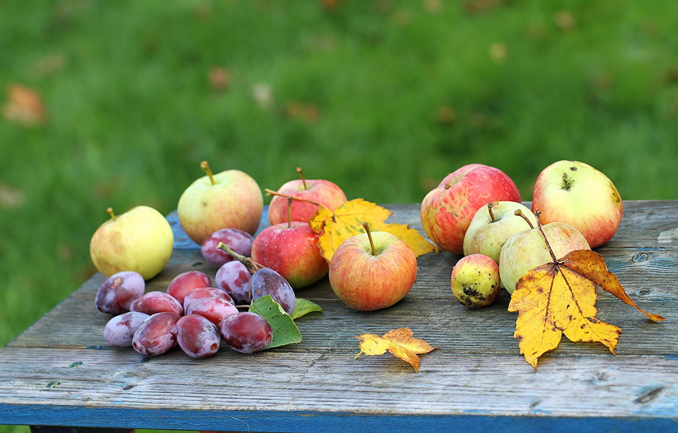 Wallpaper Apple, Autumn, Garden, Autumn, plums, Fruit, Apple, Garden, Plums image for desktop, section природа
