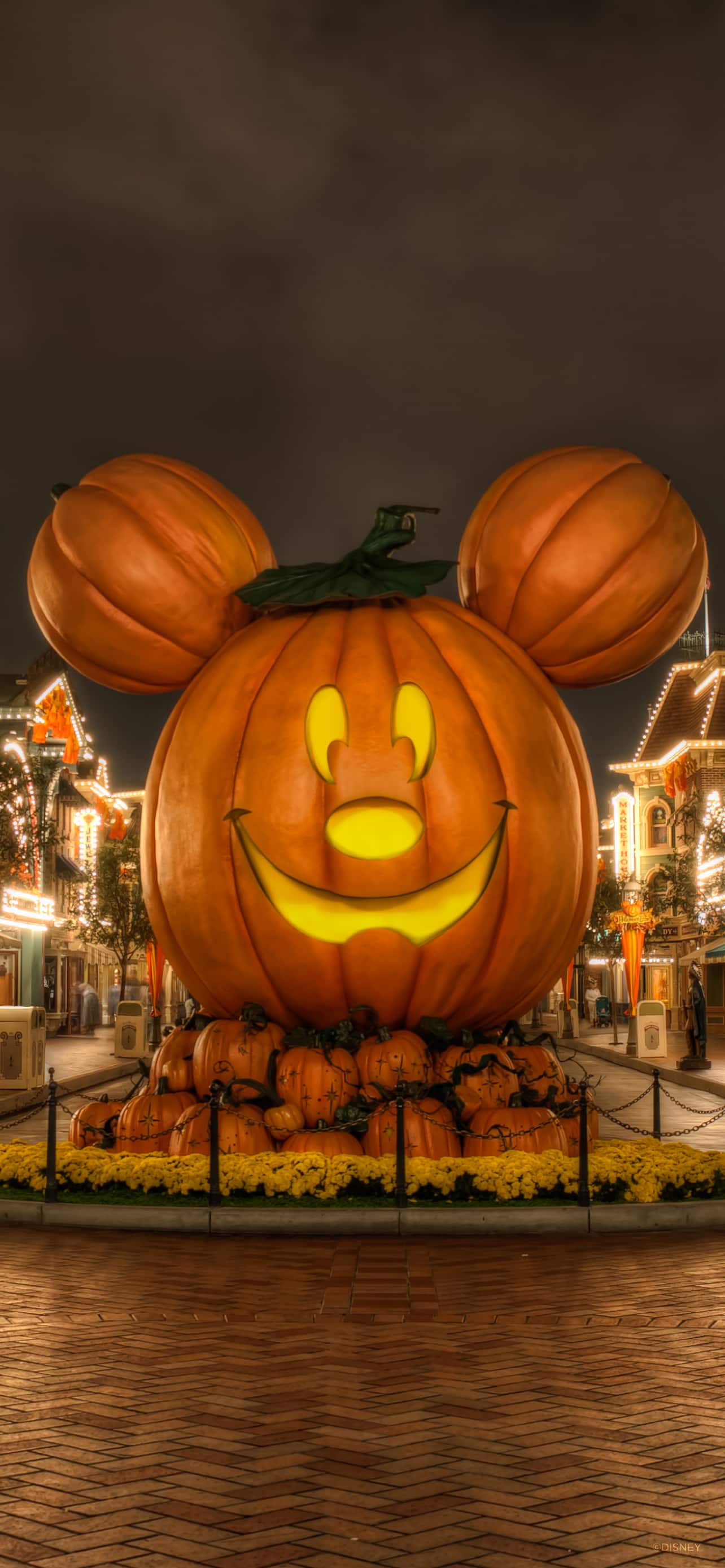 Disneyland Mickey Pumpkin Wallpaper