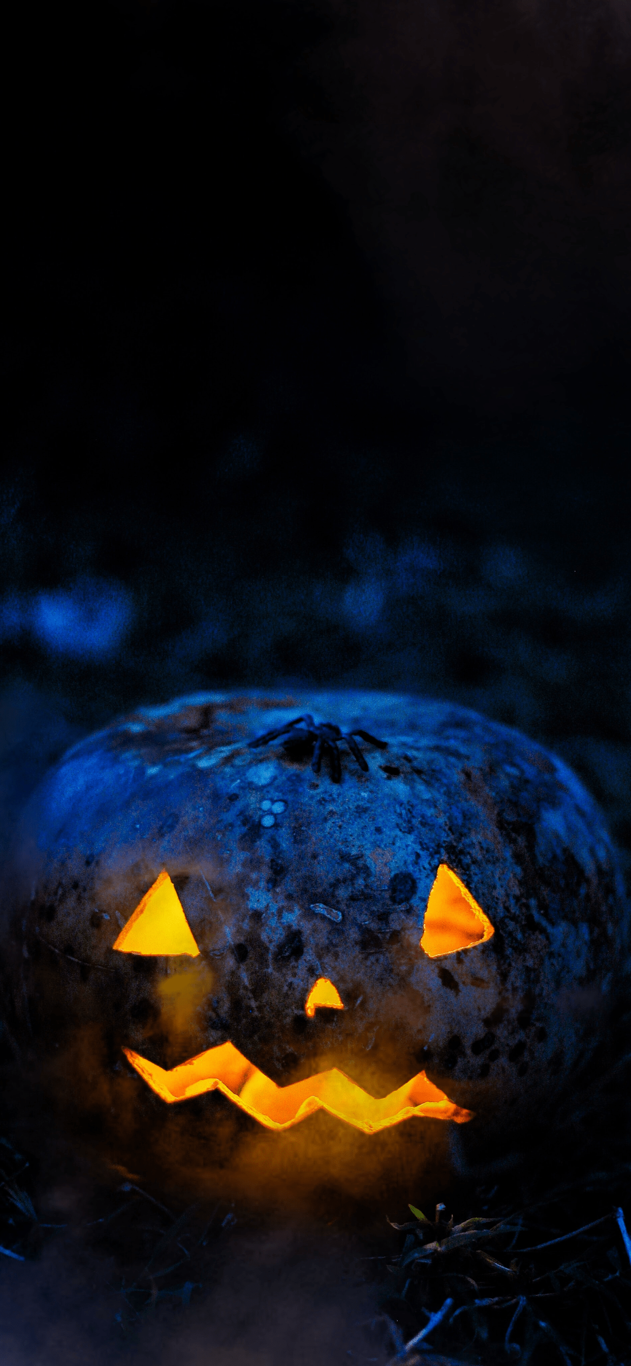 Halloween Wallpaper for iPhone Pro Max, X, 6