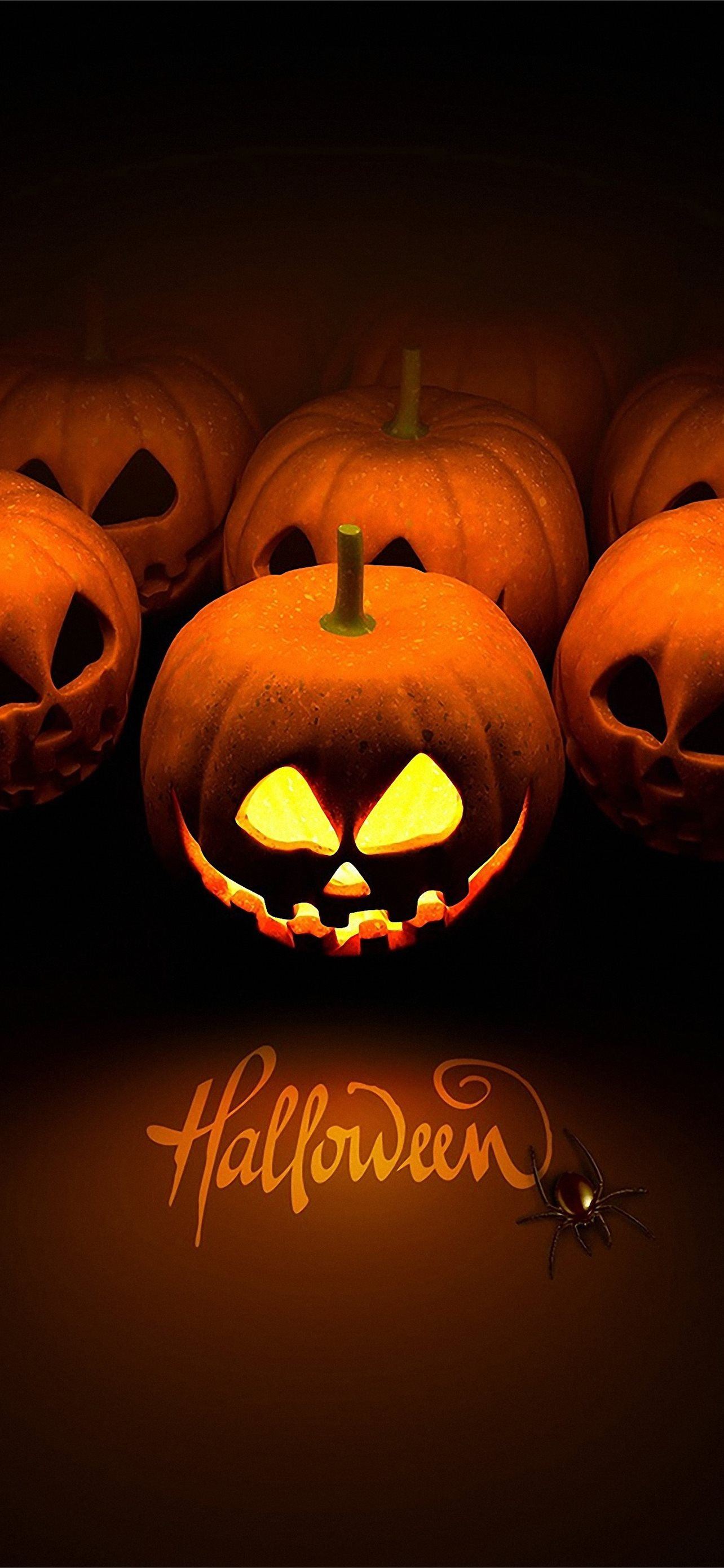Free HD Halloween Pumpkin Galaxy S8 Halloween iPhone Wallpaper Free Download