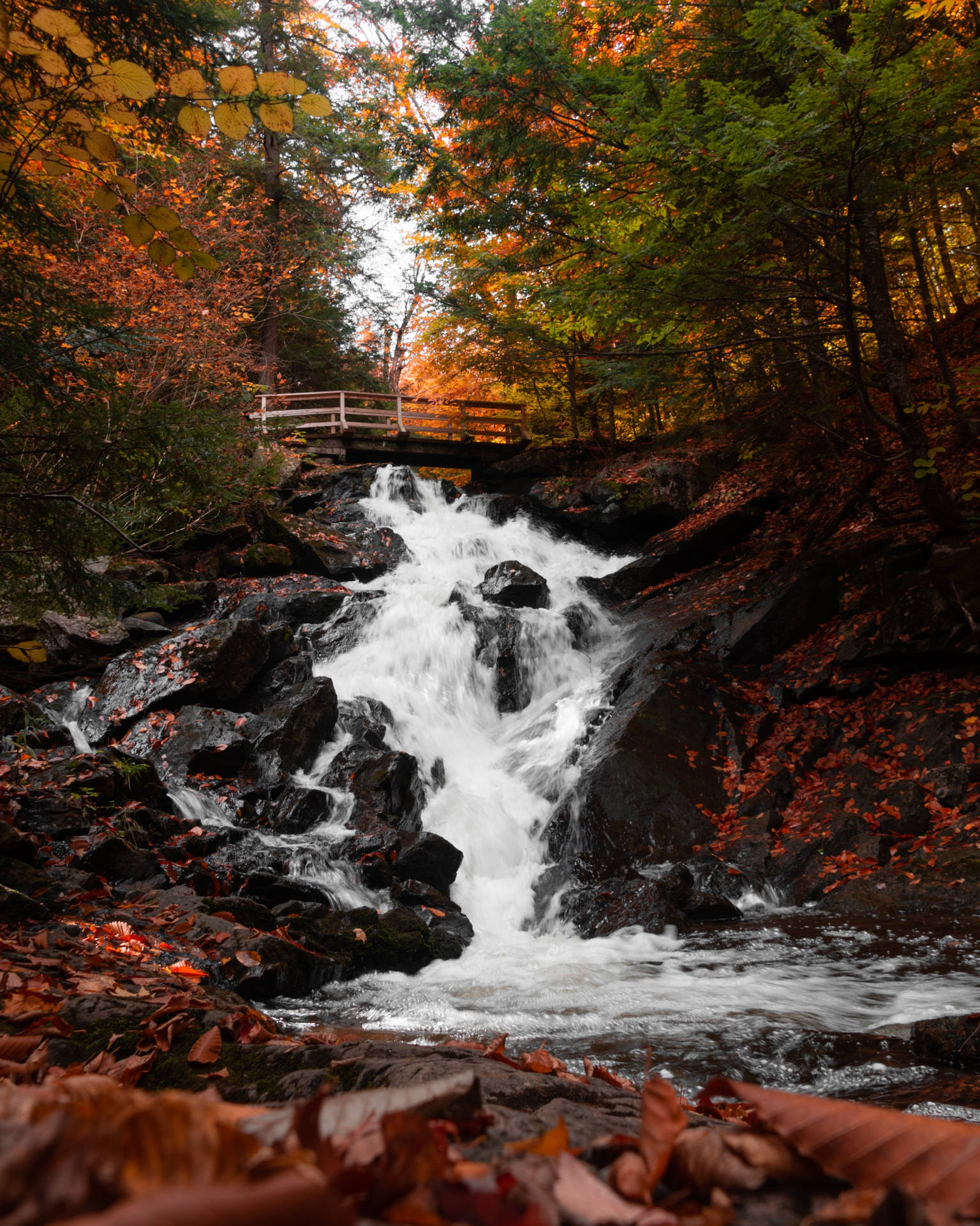 Download Waterfall In Autumn Wallpaper