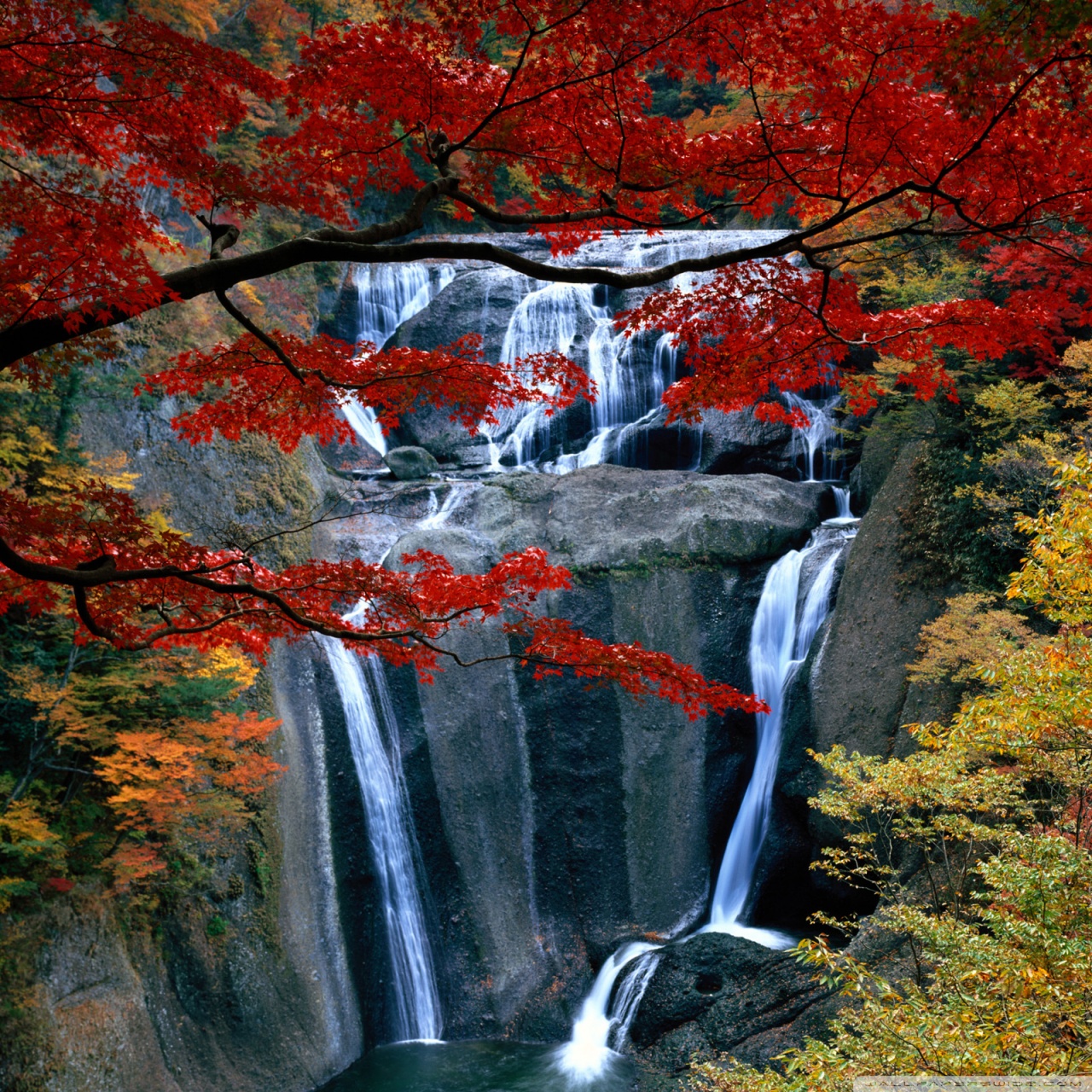 Waterfall, Autumn Ultra HD Desktop Background Wallpaper for 4K UHD TV, Tablet