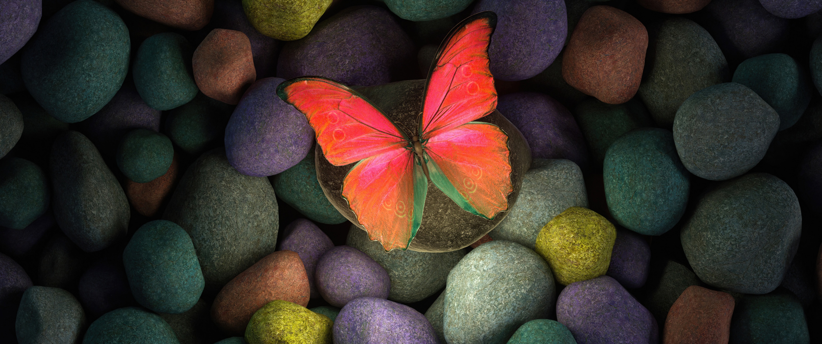 Butterfly Wallpaper 4K, Stones, Colorful, Focus, Pebbles