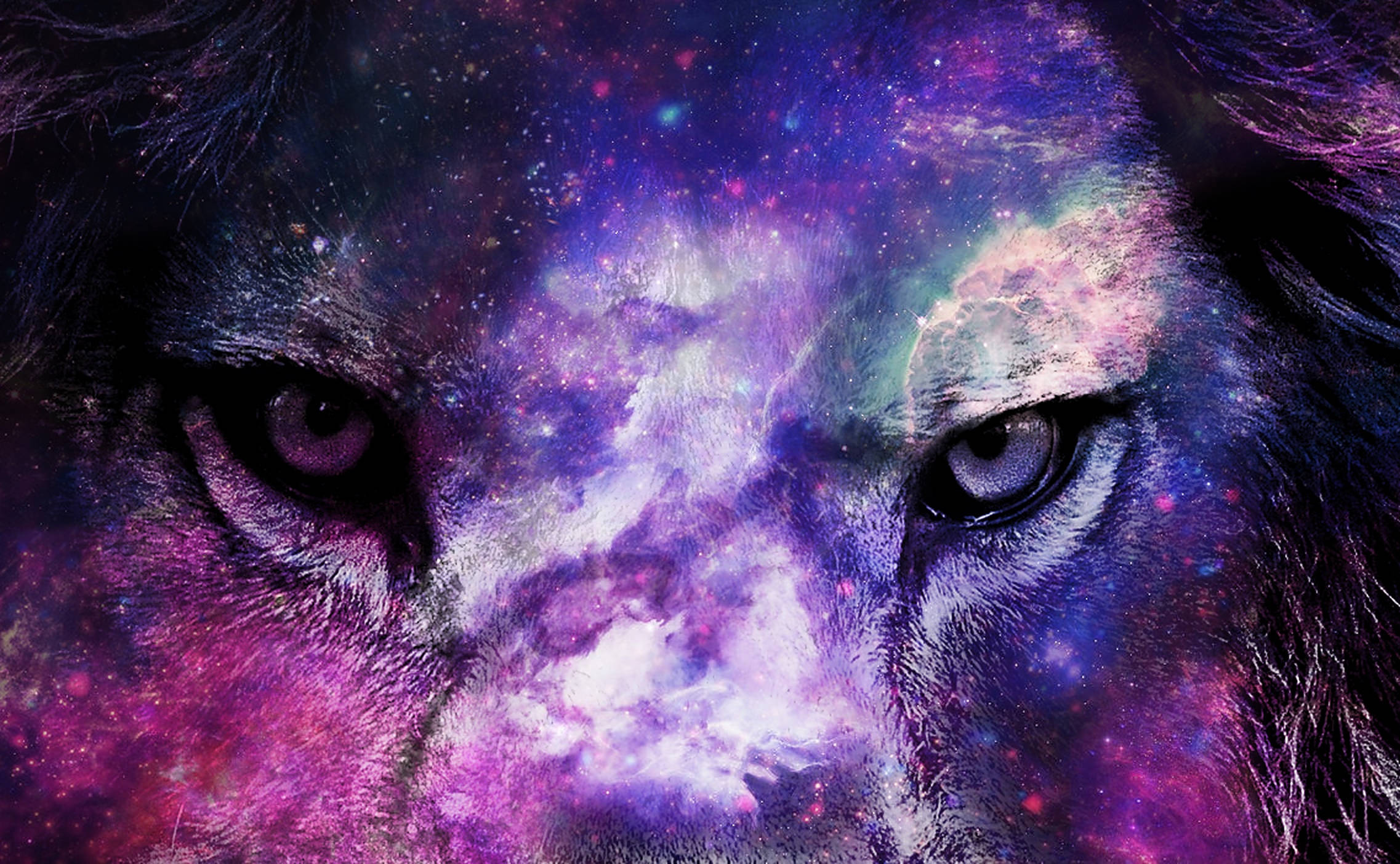 Pink Cyan Galaxy Lion  Wolf and Lion HD phone wallpaper  Pxfuel
