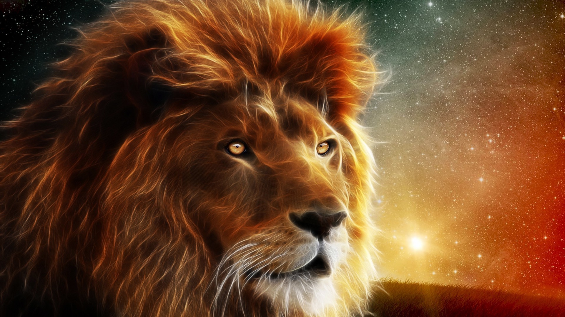 lion stars Wallpaper HD / Desktop and Mobile Background