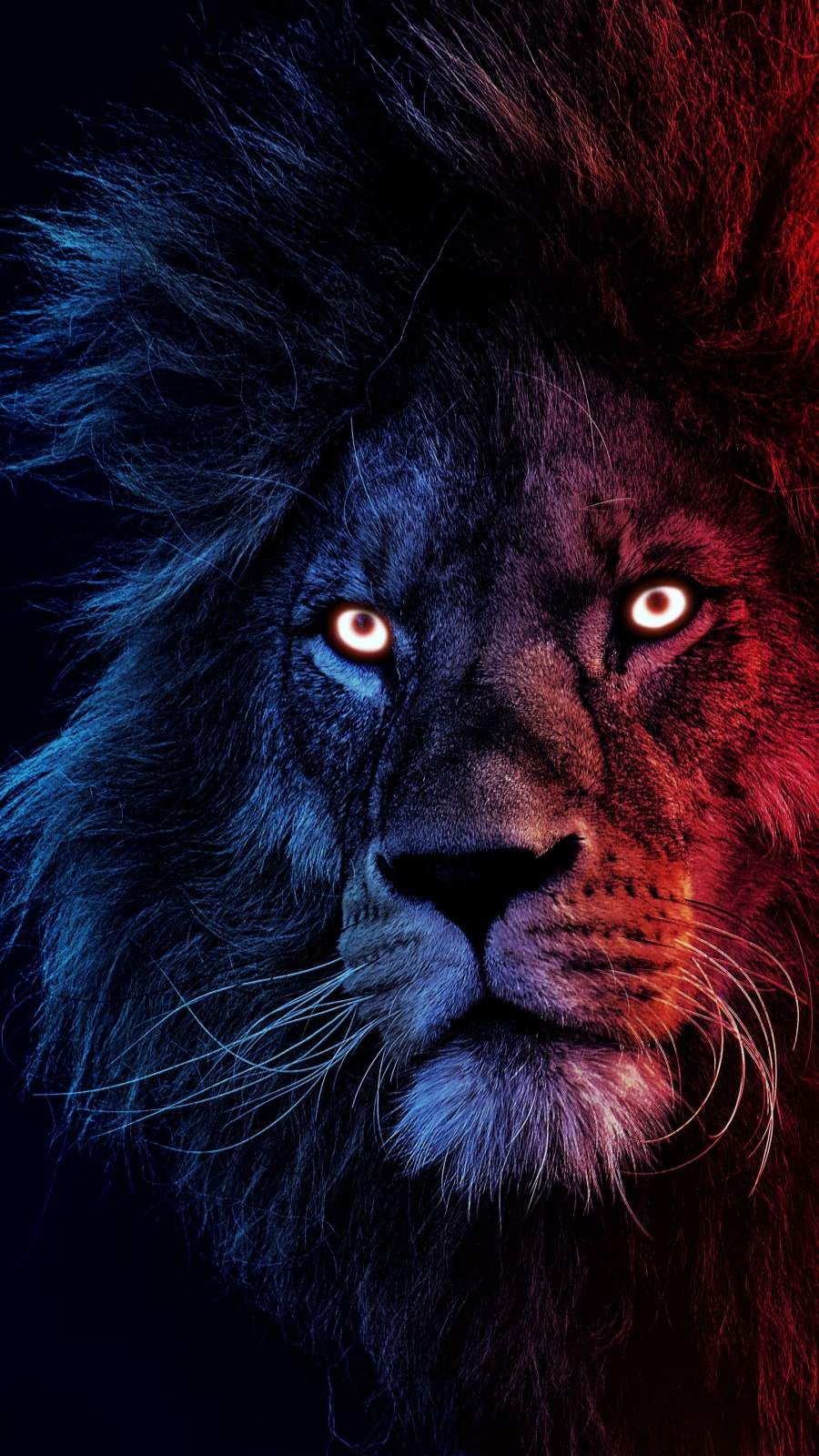 iPhone Wallpaper for iPhone iPhone 11 and iPhone X, iPhone Wallpaper. Lion wallpaper iphone, Lion wallpaper, Lion image
