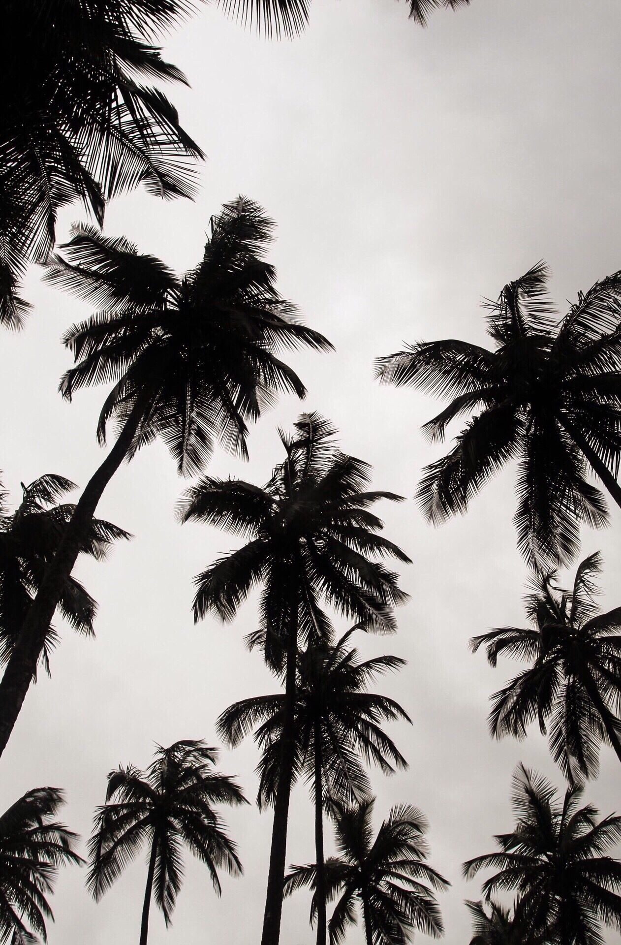 W 3082221. Background Phone Wallpaper, New Wallpaper, Summer Wallpaper