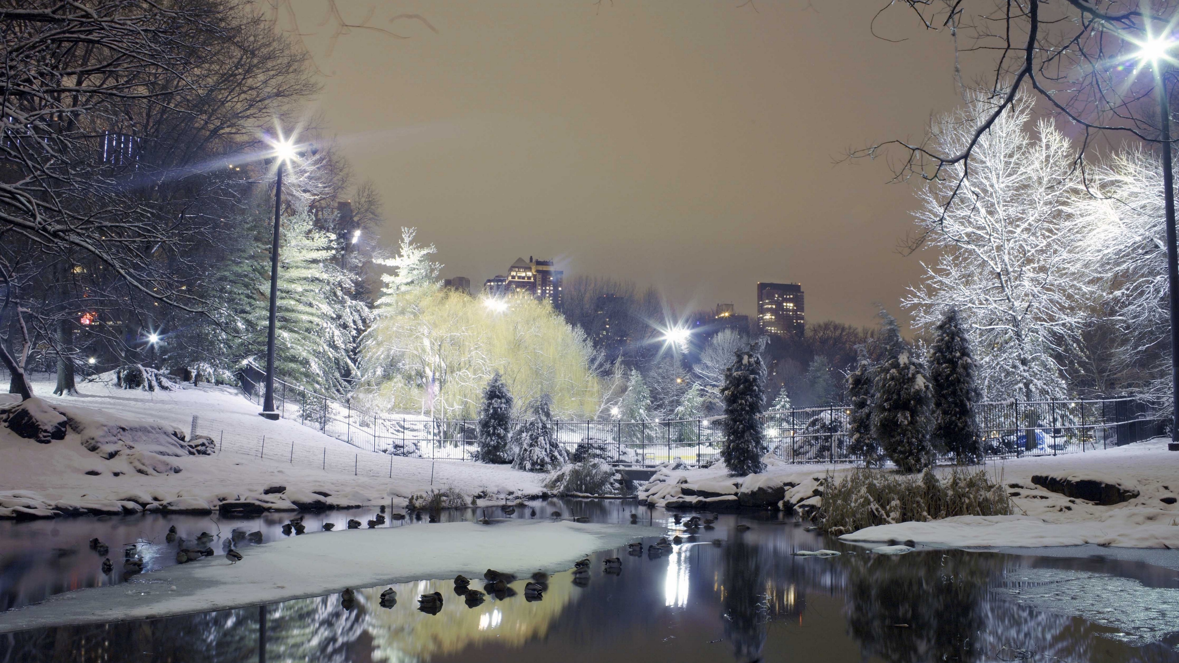 Wallpaper 4k city, park, trees, winter, snow, lights 4k Wallpaper