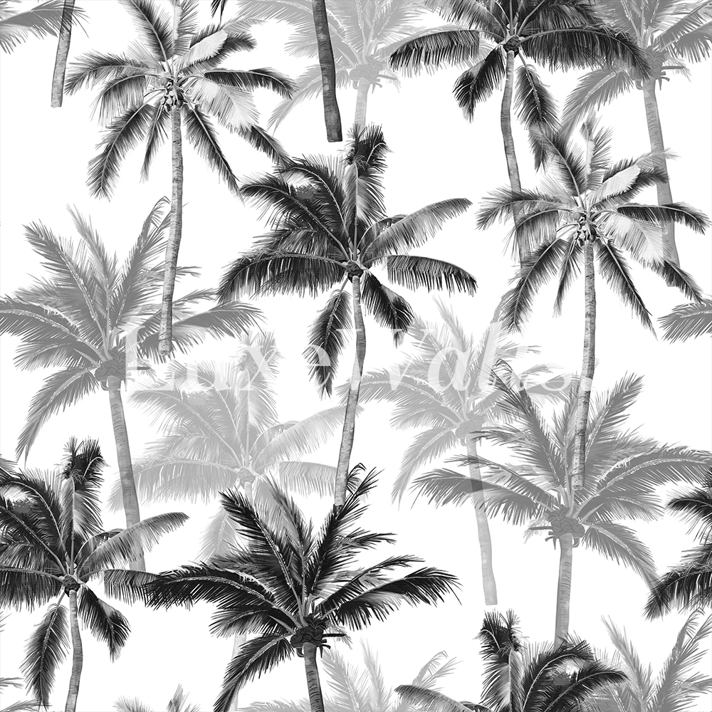Tropical Paradise Black and White Wallpaper