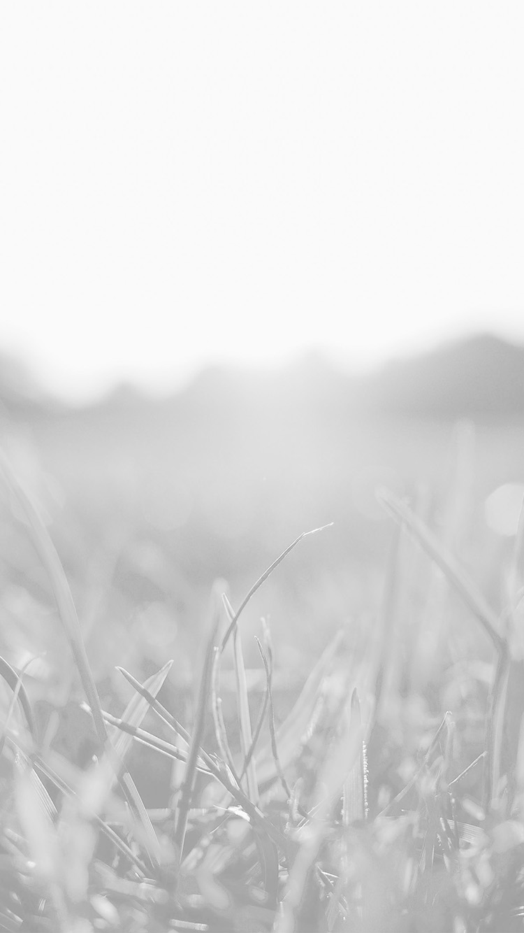 iPhone6papers.co. iPhone 6 wallpaper. grass white bokeh light summer nature