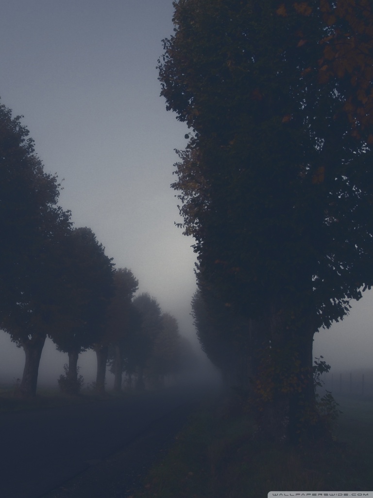 Dark Autumn Day Ultra HD Desktop Background Wallpaper for 4K UHD TV, Tablet