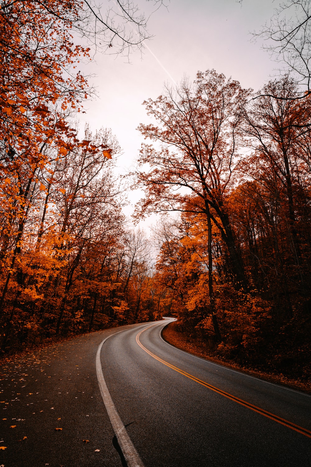 Autumn Road Picture. Download Free Image