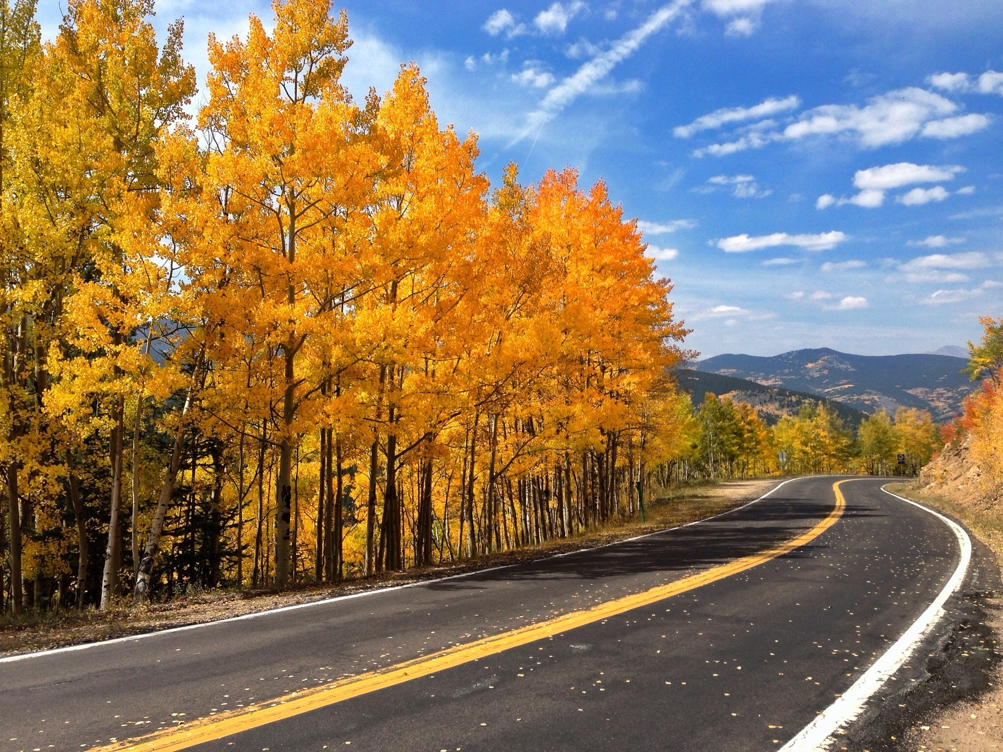autumn, Road, Trees, Nature Wallpaper HD / Desktop and Mobile Background