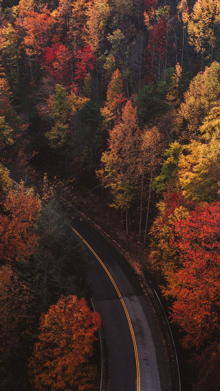 Autumn Roads Wallpaper, iPhone Wallpaper