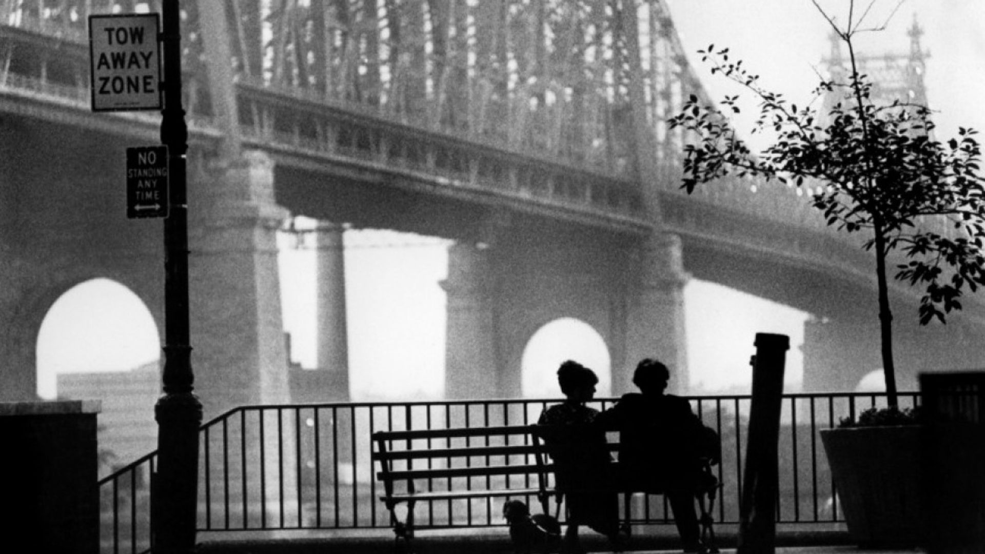 Woody Allen Movies Wallpaper Hd_1 Bowery Boys: New York City History